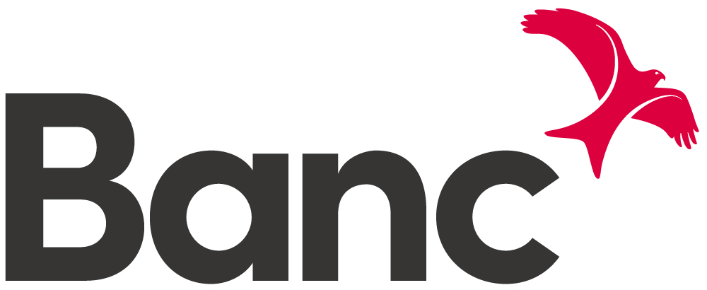 Logo Banc Datblygu Cymru